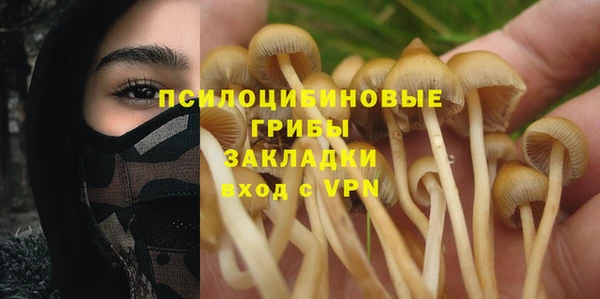 крисы Белокуриха