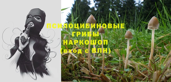 стафф Белоозёрский